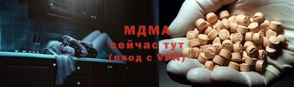 индика Абаза