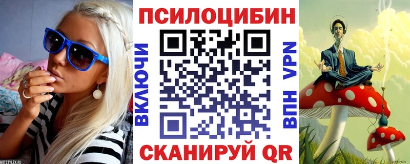 Псилоцибиновые грибы Psilocybe  дарнет шоп  площадка Telegram  Боровичи 